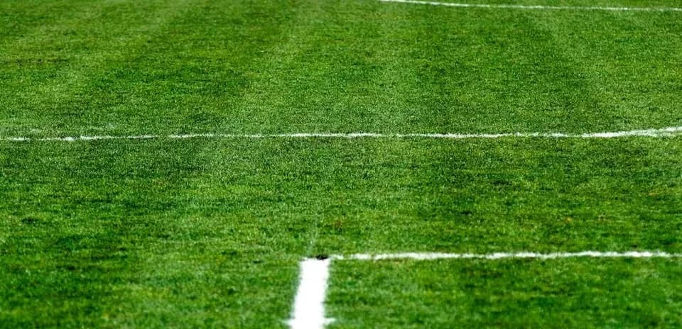 Campo de fútbol con líneas de marcado en césped