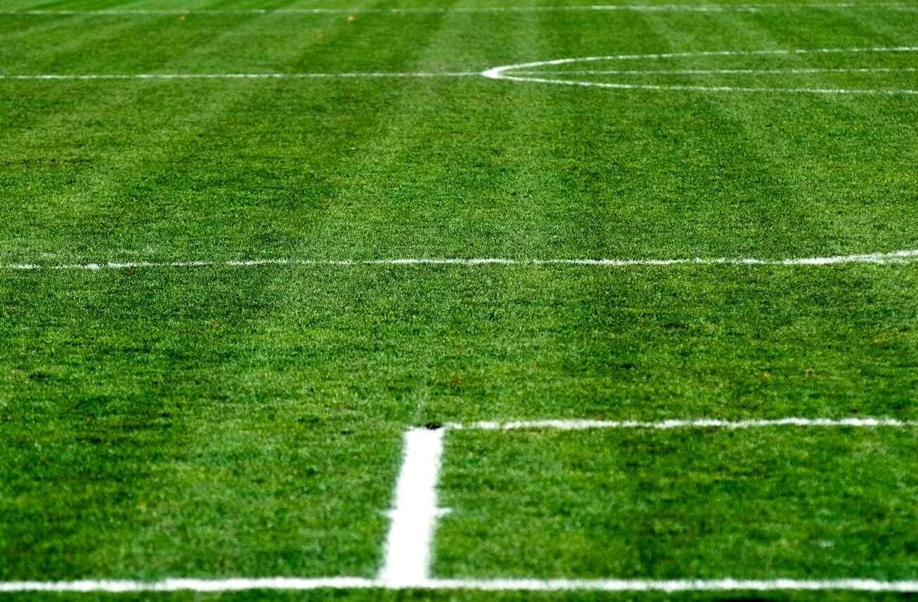 Campo de fútbol con líneas de marcado en césped