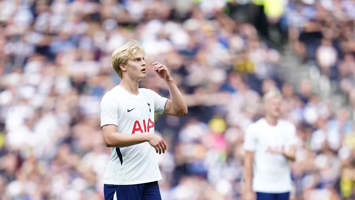Jugador de Tottenham en el campo durante el partido Jugador de Tottenham en el campo durante el partido