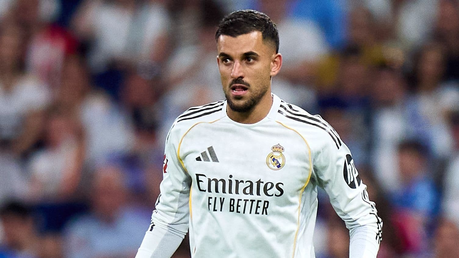 Napoli intensifica su interés por Dani Ceballos tras dejar Real Madrid Napoli intensifica su interés por Dani Ceballos tras dejar Real Madrid